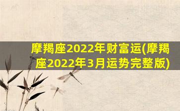 摩羯座2022年财富运(摩羯座2022年3月运势完整版)